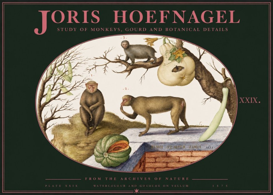 Joris Hoefnagel But Always a Monkey, Always a Monkey. Plate Xxix No3 - Poszter