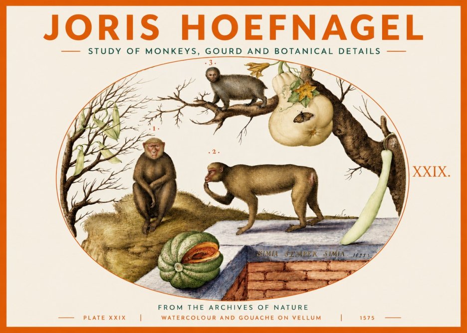 Joris Hoefnagel But Always a Monkey, Always a Monkey. Plate Xxix No4 - Poszter
