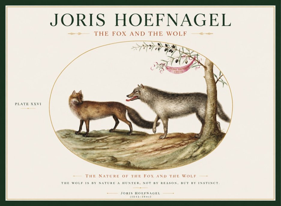 Joris Hoefnagel The Fox and the Wolf No1 - Poszter