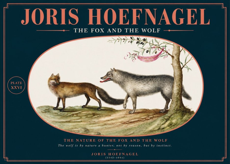 Joris Hoefnagel The Fox and the Wolf No2 - Poszter