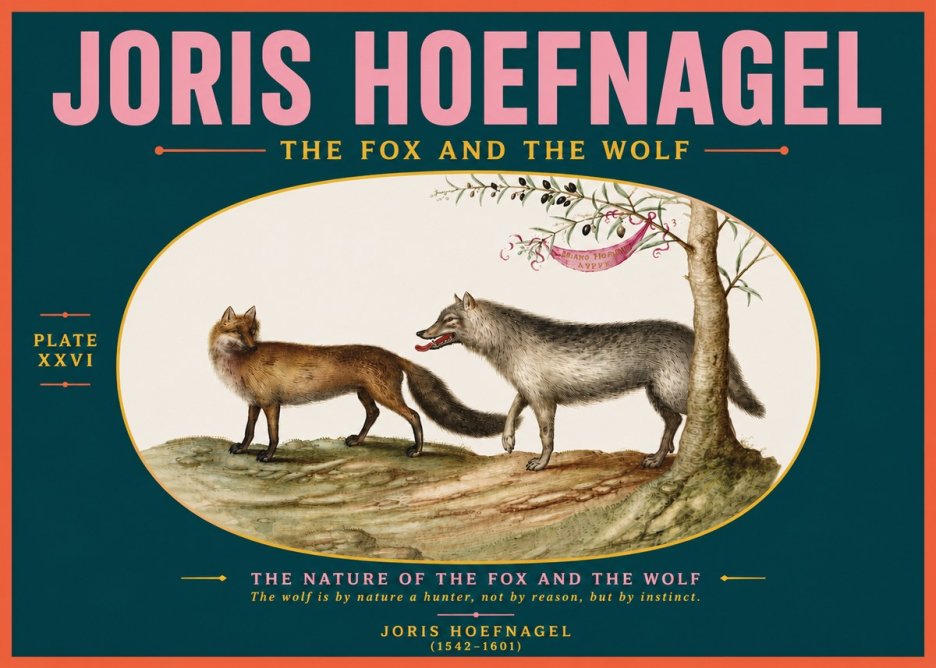 Joris Hoefnagel The Fox and the Wolf No5 - Poszter