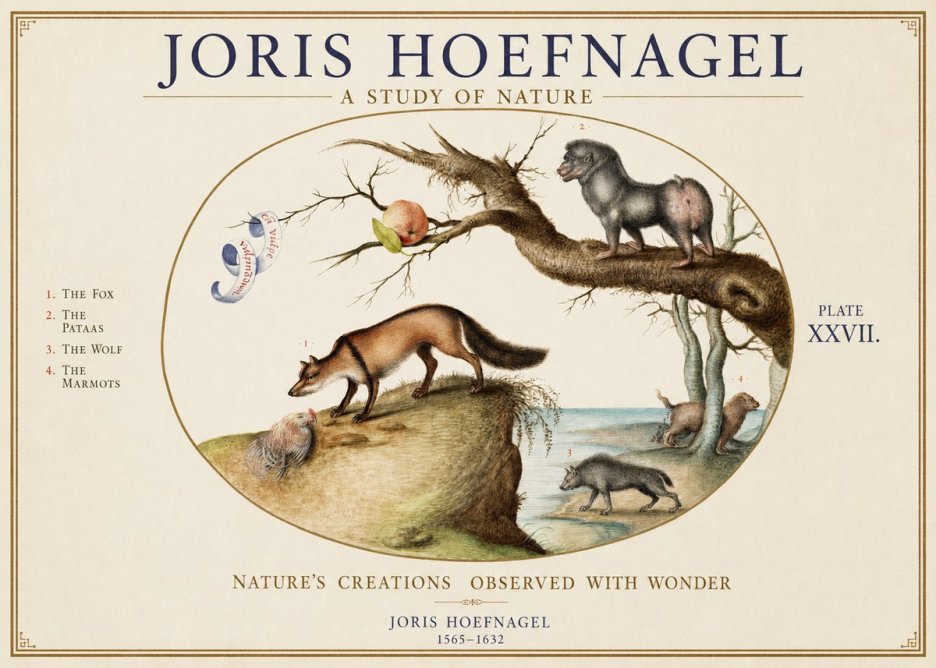 Joris Hoefnagel A Study of Nature - Plate Xxvii No1 - Poszter