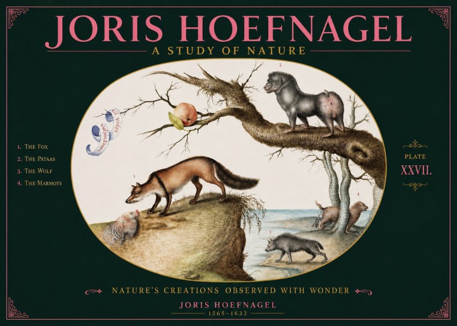 Joris Hoefnagel A Study of Nature - Plate Xxvii No2 - Poszter