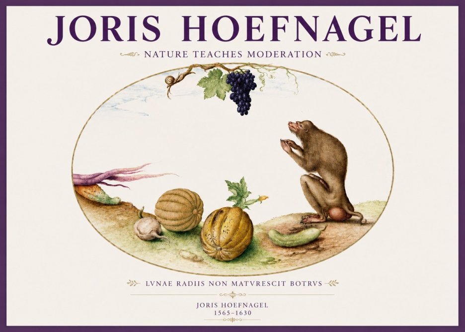 Joris Hoefnagel Nature Teaches Moderation No3 - Poszter