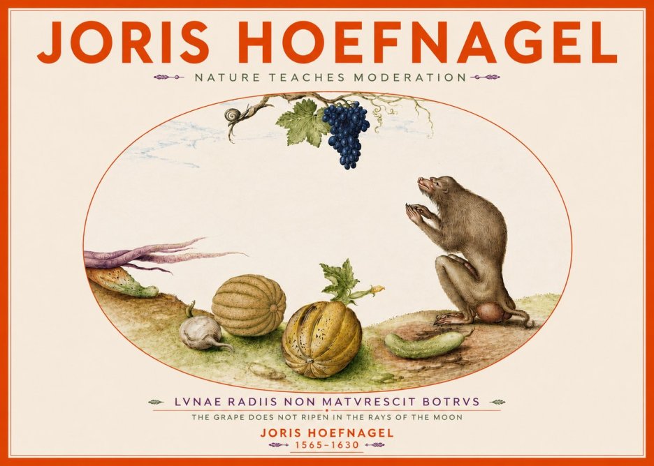 Joris Hoefnagel Nature Teaches Moderation No4 - Poszter