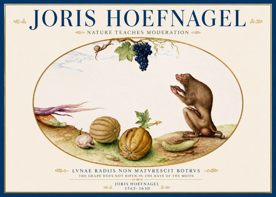 Joris Hoefnagel Nature Teaches Moderation No5 - Poszter