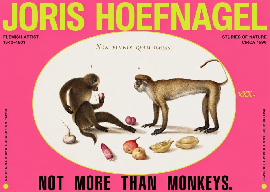 Joris Hoefnagel Not More Than Monkeys No2 - Poszter