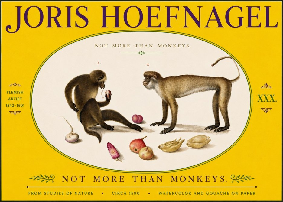 Joris Hoefnagel Not More Than Monkeys No5 - Poszter
