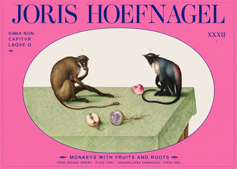 Joris Hoefnagel Monkeys with Fruits and Roots No2 - Poszter