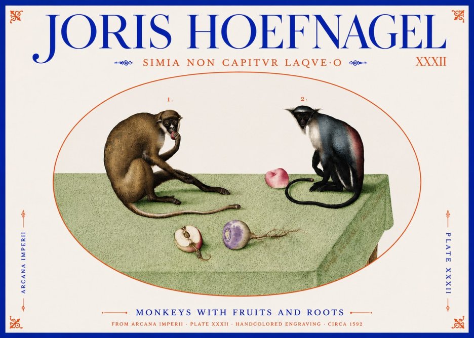 Joris Hoefnagel Monkeys with Fruits and Roots No4 - Poszter