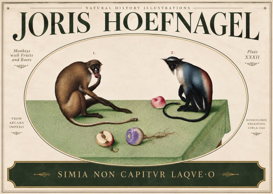 Joris Hoefnagel Monkeys with Fruits and Roots No5 - Poszter