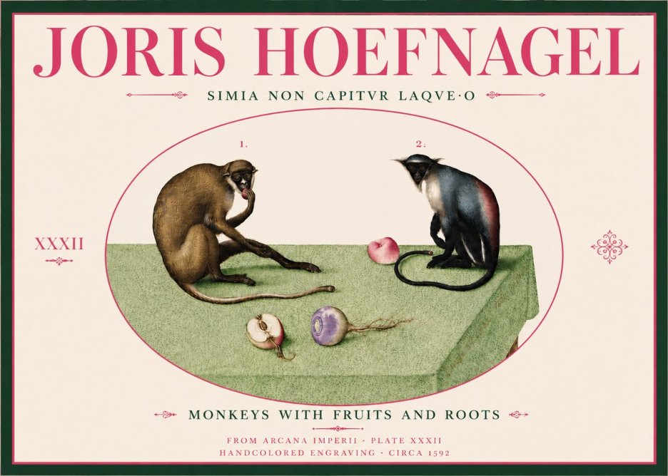Joris Hoefnagel Monkeys with Fruits and Roots No6 - Poszter