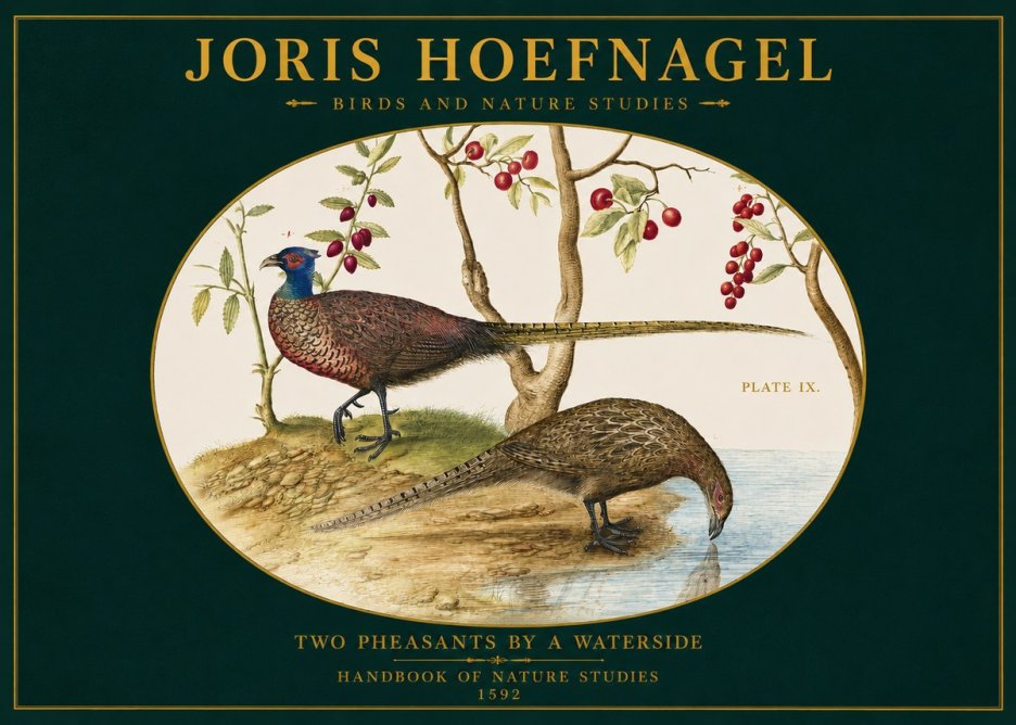 Joris Hoefnagel Peacocks and Pheasants Among Fruiting Branches No3 - Poszter