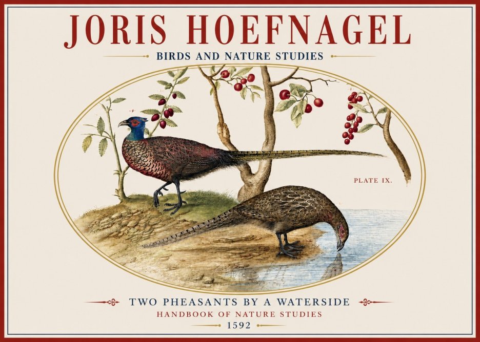 Joris Hoefnagel Peacocks and Pheasants Among Fruiting Branches No4 - Poszter