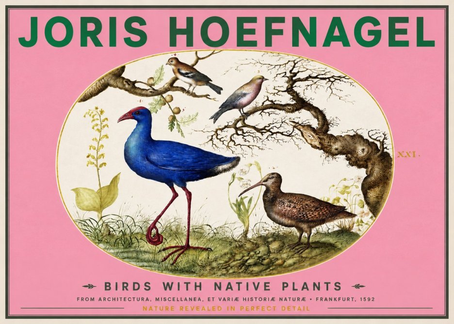 Joris Hoefnagel Birds with Native Plants No2 - Poszter