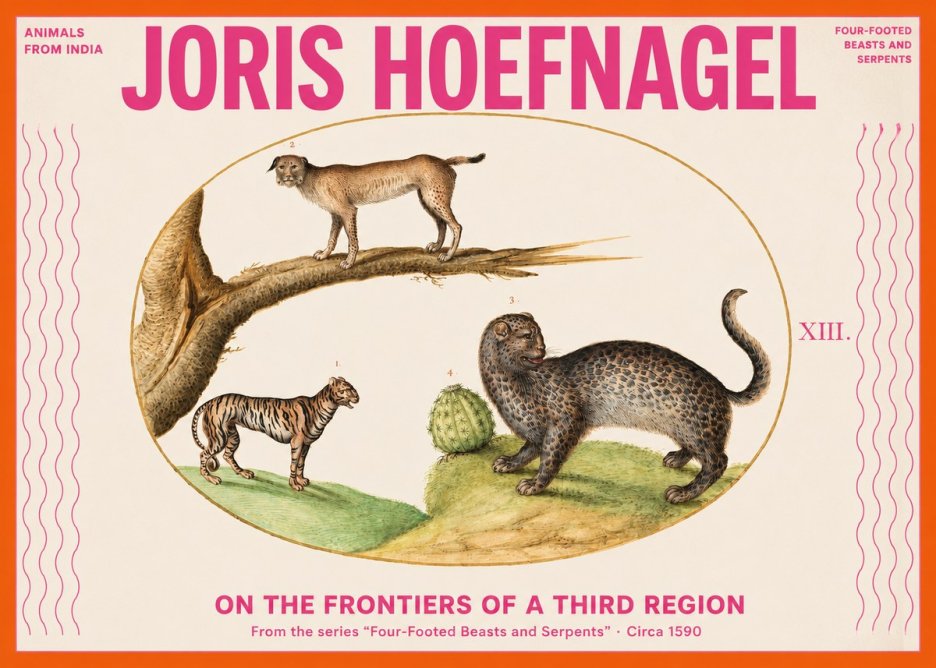 Joris Hoefnagel Four Beasts No3 - Poszter