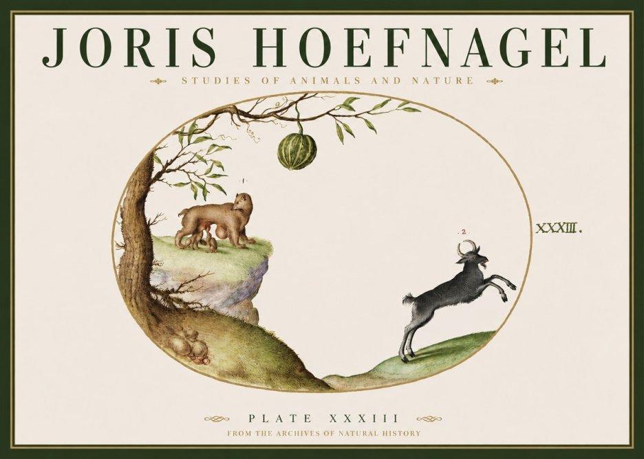 Joris Hoefnagel Plate Xxxiii No3 - Poszter