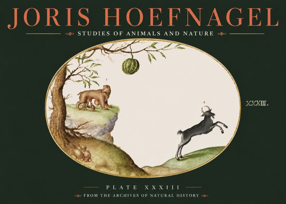 Joris Hoefnagel Plate Xxxiii No4 - Poszter