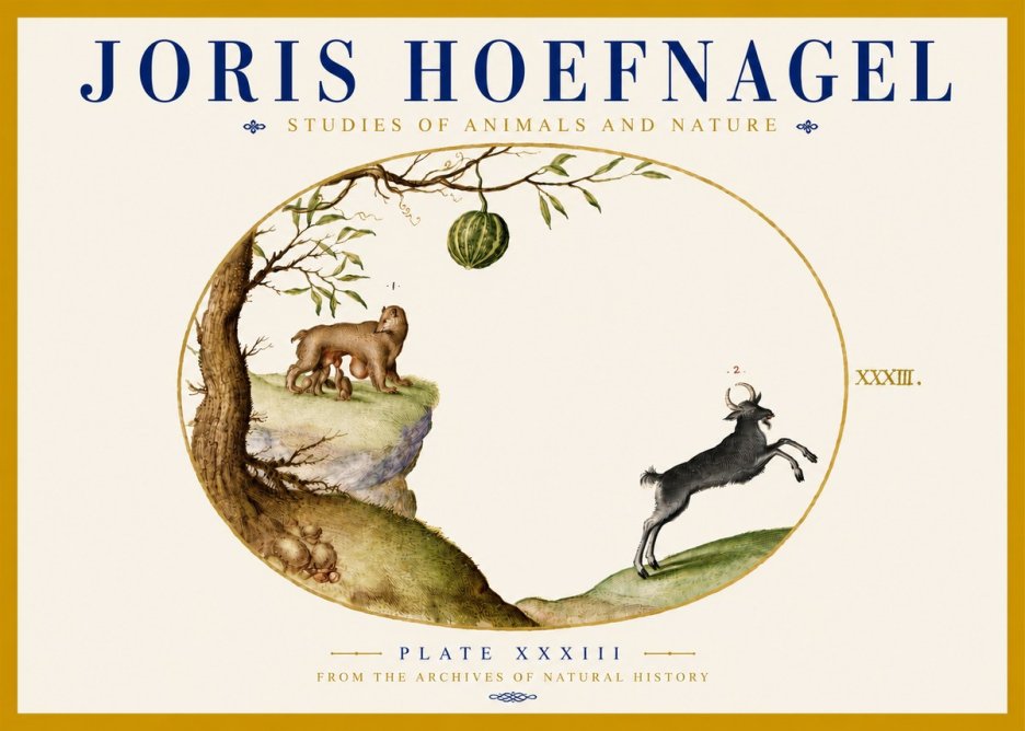 Joris Hoefnagel Plate Xxxiii No5 - Poszter
