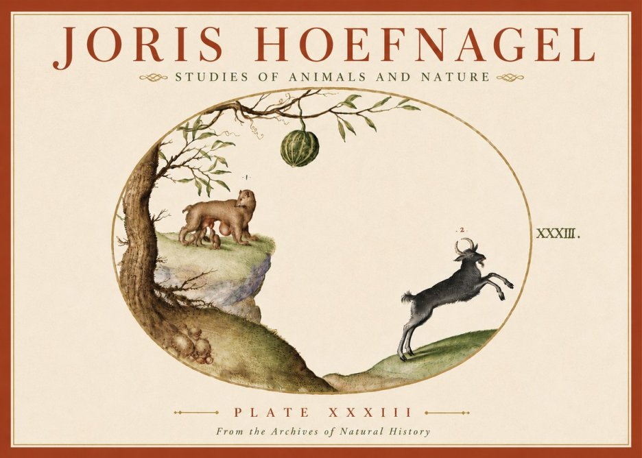 Joris Hoefnagel Plate Xxxiii No6 - Poszter