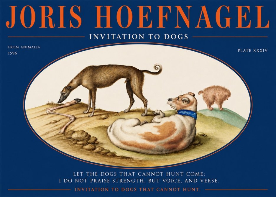 Joris Hoefnagel Invitation to Dogs No2 - Poszter