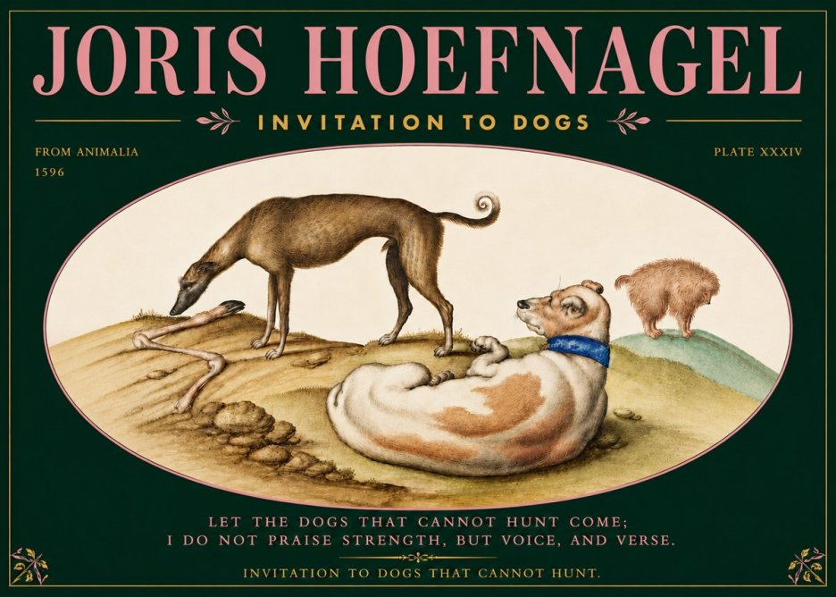 Joris Hoefnagel Invitation to Dogs No5 - Poszter