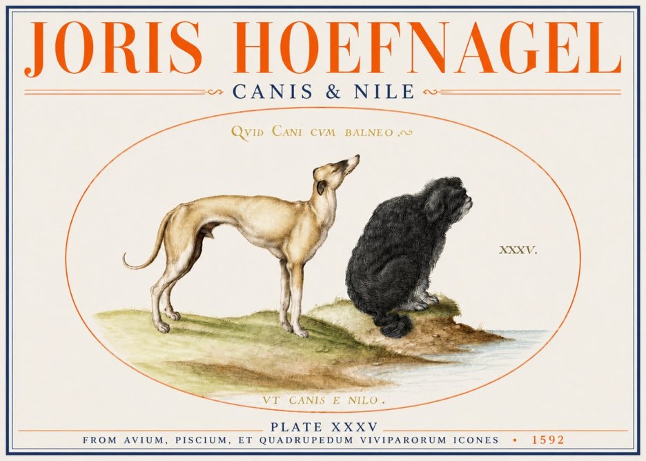 Joris Hoefnagel Neither Can a Dog Live in Baths No4 - Poszter
