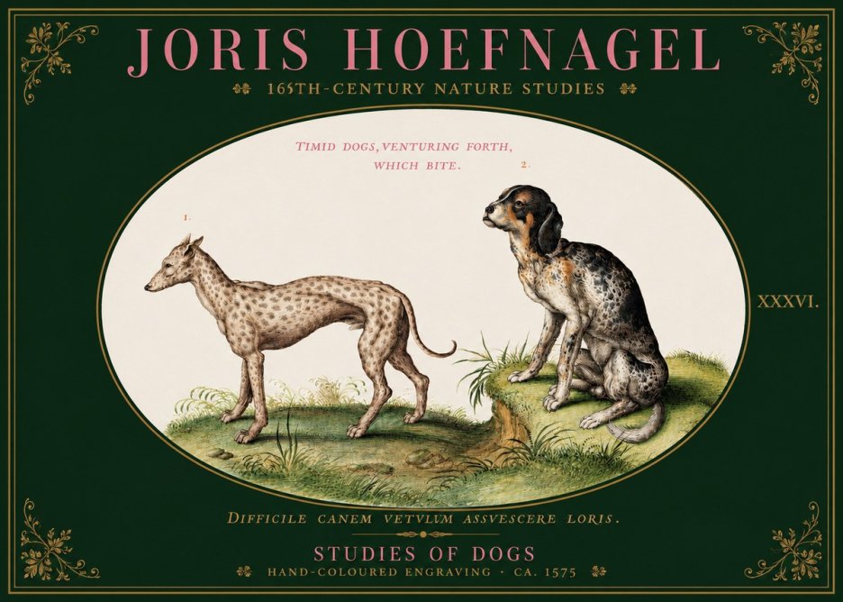 Joris Hoefnagel Studies of Dogs No3 - Poszter