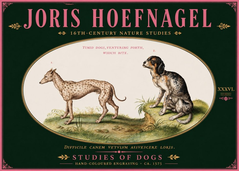 Joris Hoefnagel Studies of Dogs No6 - Poszter