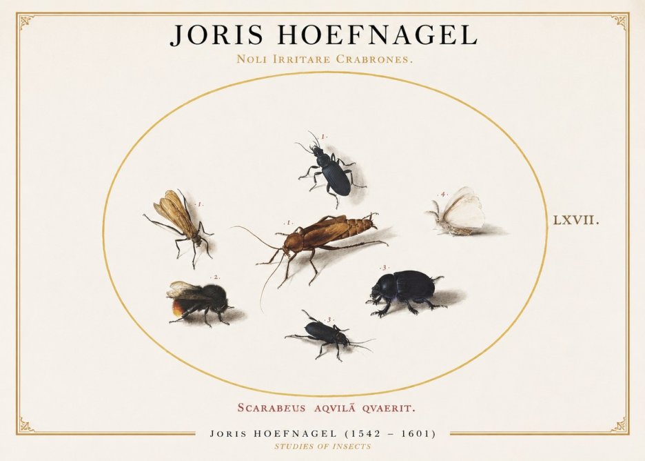 Joris Hoefnagel Scarabeus Aqvilä Qvaerit. No1 - Poszter