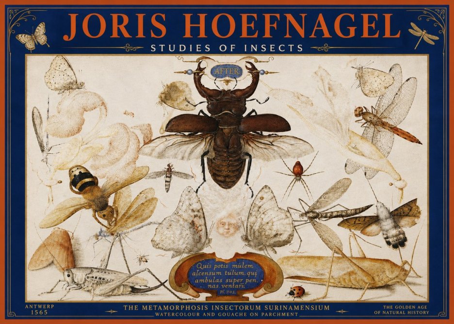 Joris Hoefnagel Studies of Insects I No4 - Poszter