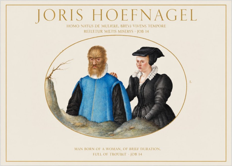 Joris Hoefnagel Homo Natus De Muliere, Brevi Vivens Tempore Refletur Miltis Miserys · Job 14 No1 - Poszter