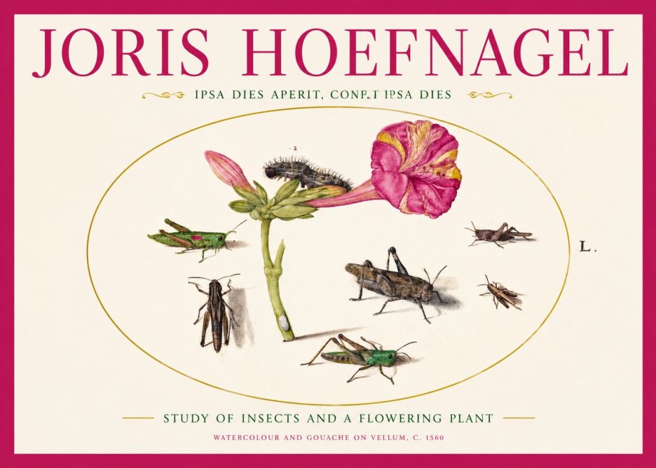Joris Hoefnagel Study of Insects and a Flowering Plant No2 - Poszter