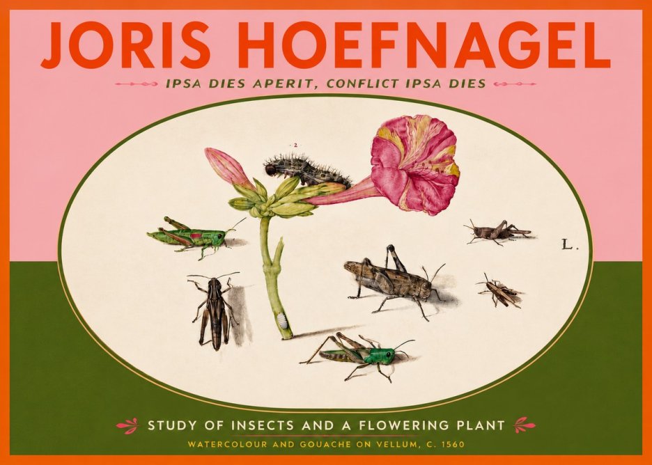 Joris Hoefnagel Study of Insects and a Flowering Plant No4 - Poszter