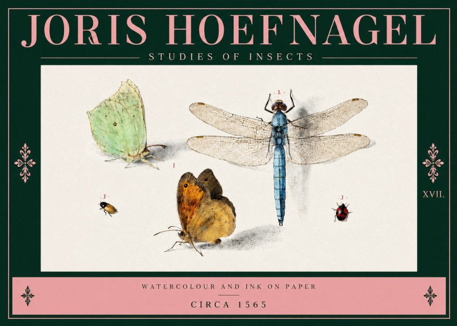 Joris Hoefnagel A Study of Butterflies, Dragonflies and Beetles No4 - Poszter