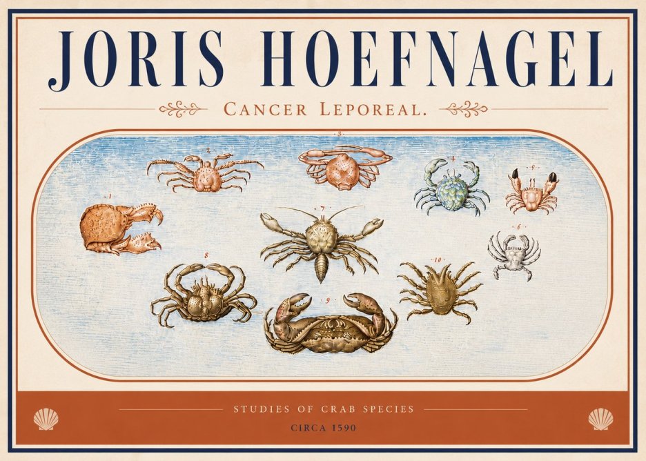 Joris Hoefnagel Cancer Leporeal. No4 - Poszter