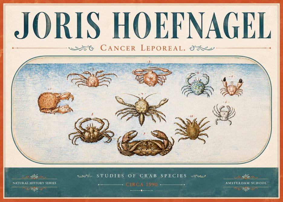 Joris Hoefnagel Cancer Leporeal. No6 - Poszter