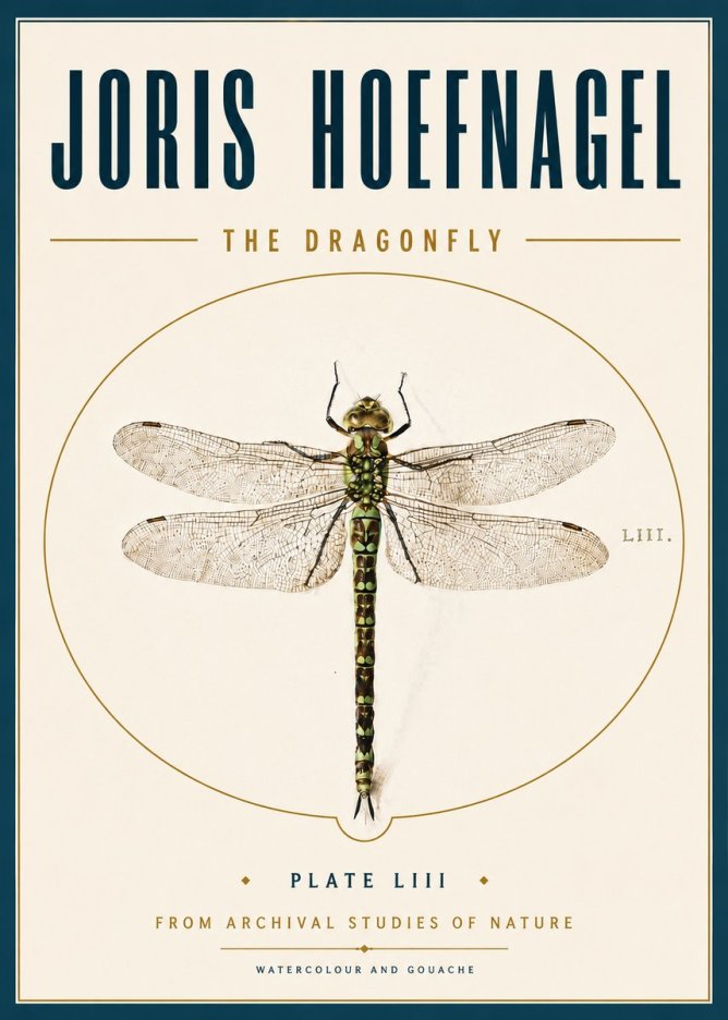 Joris Hoefnagel The Dragonfly No6 - Poszter