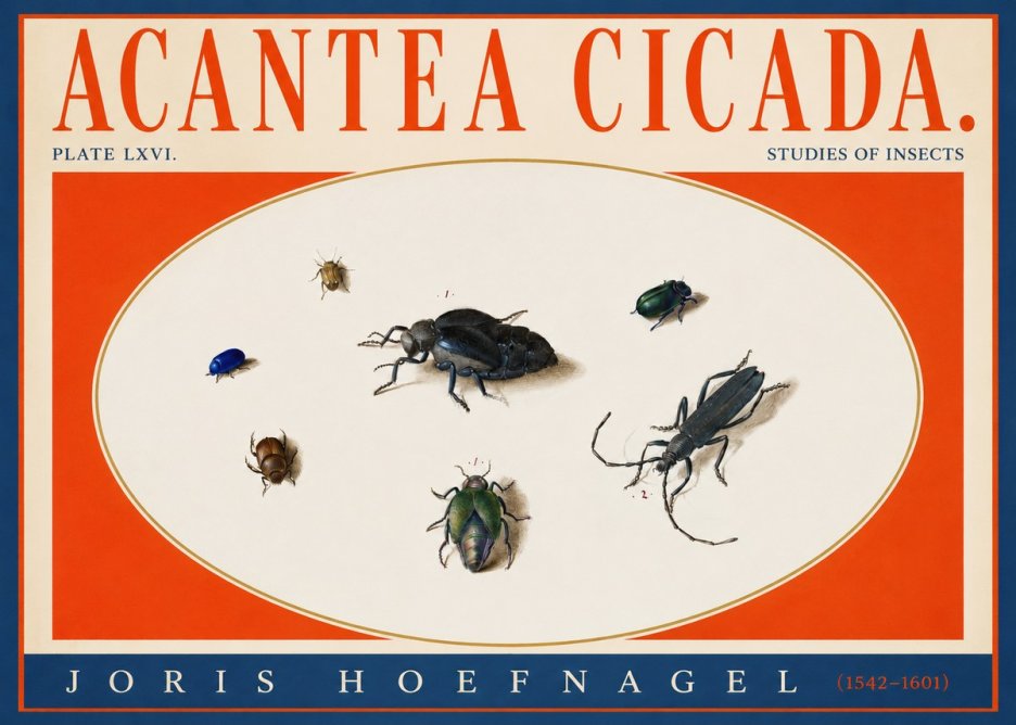 Joris Hoefnagel Acanthia Cicada No4 - Poszter