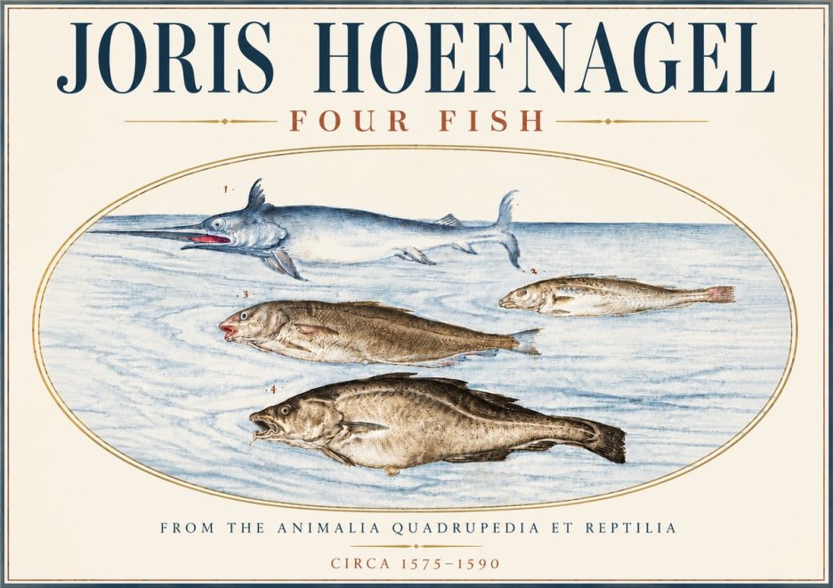 Joris Hoefnagel Four Fish No6 - Poszter
