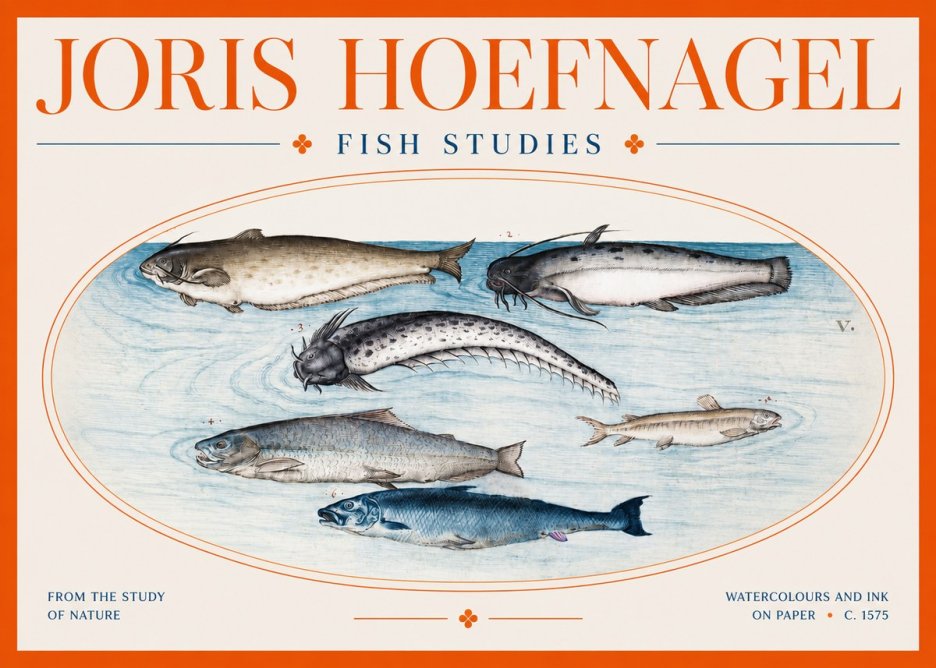 Joris Hoefnagel Fish of the Waters No3 - Poszter