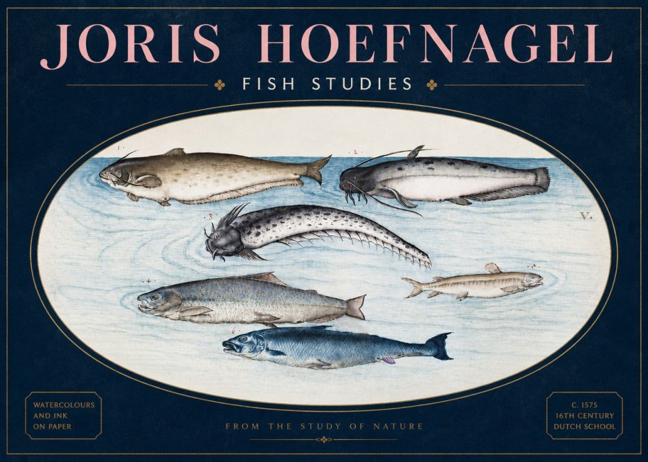 Joris Hoefnagel Fish of the Waters No4 - Poszter