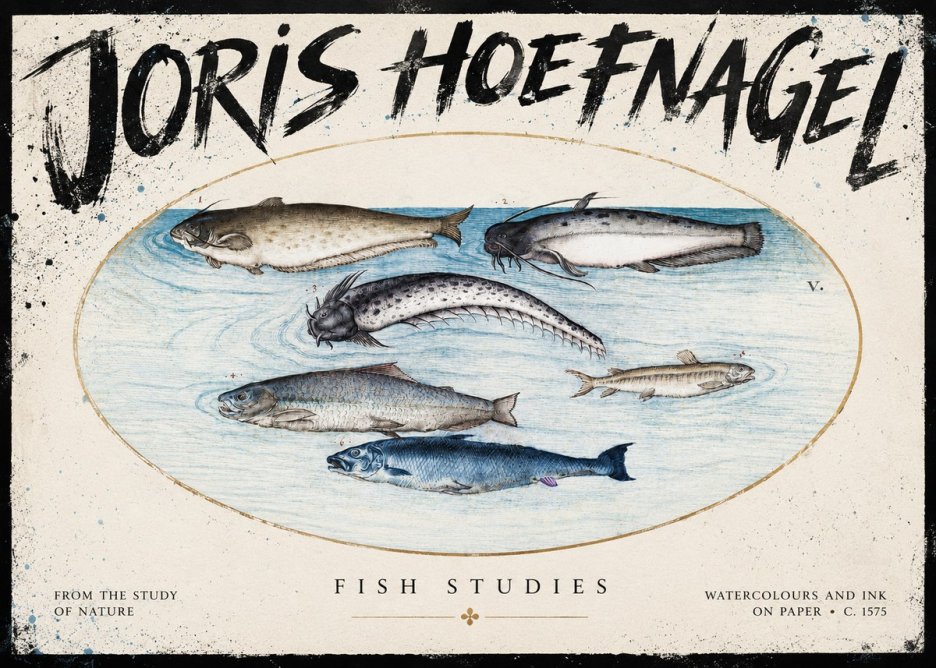 Joris Hoefnagel Fish of the Waters No5 - Poszter