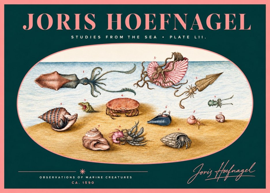 Joris Hoefnagel Marine Creatures - Plate Lii No2 - Poszter
