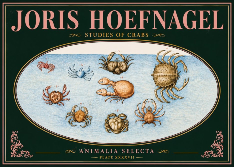Joris Hoefnagel Studies of Crabs No5 - Poszter