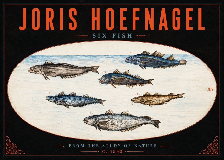 Joris Hoefnagel Six Fish No5 - Poszter