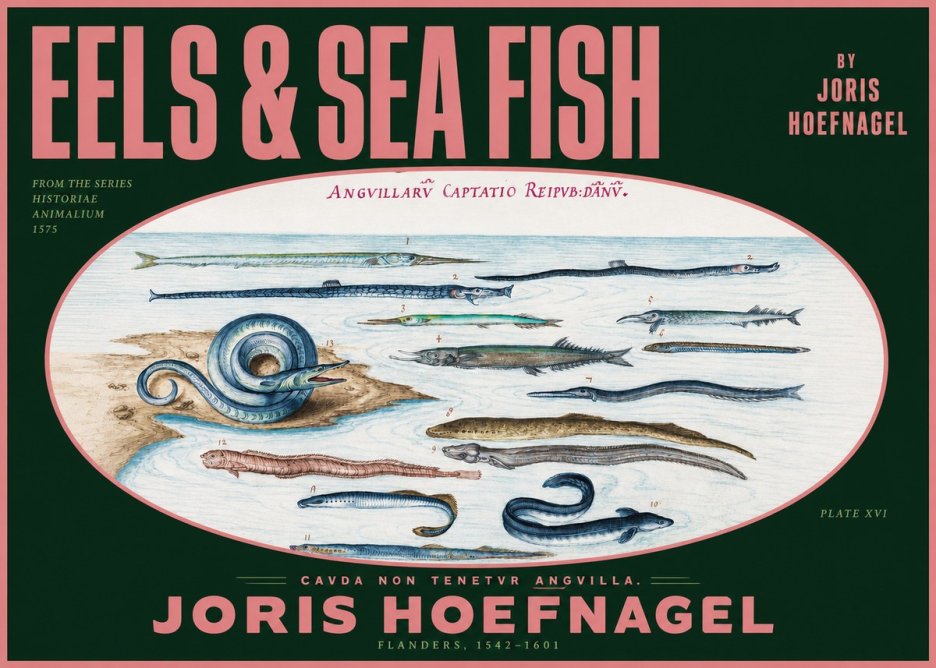 Joris Hoefnagel Eels and Sea Fish No2 - Poszter