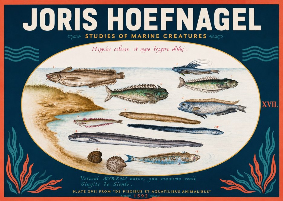 Joris Hoefnagel Plate Xvii from "De Piscibus Et Aquatilibus Animalibus" No2 - Poszter