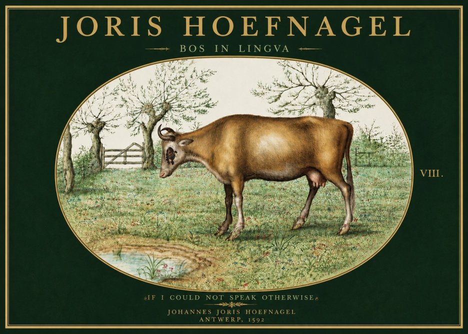 Joris Hoefnagel Bos in Lingva No5 - Poszter