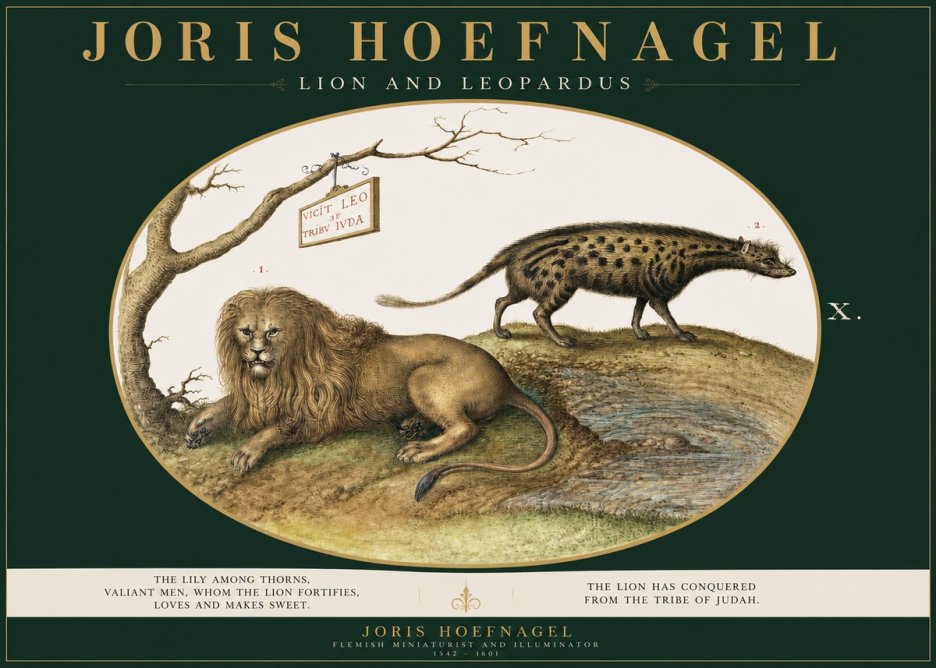 Joris Hoefnagel Lion and Spotted Hyena No3 - Poszter